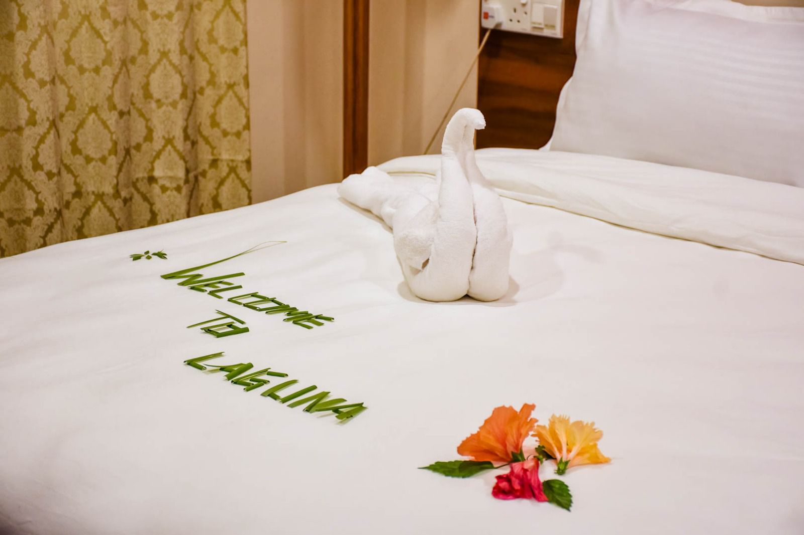 Our Stay